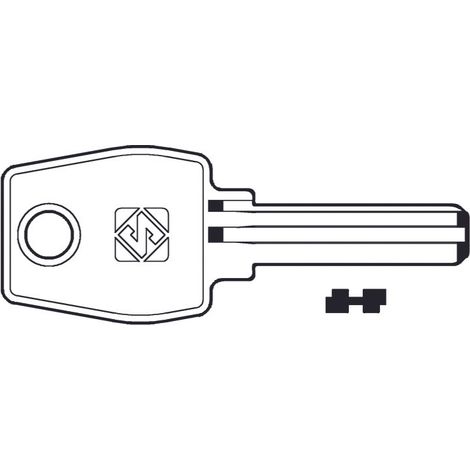Chiavi punzonate per cilindri euro locks 5+5 spine eu17 - eu17