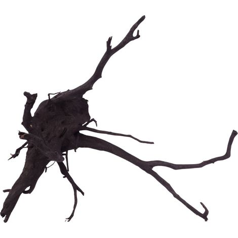 XL Black Spider Wurzel Nr.2677 Fingerwurzel Echtholz Deko Aquascaping