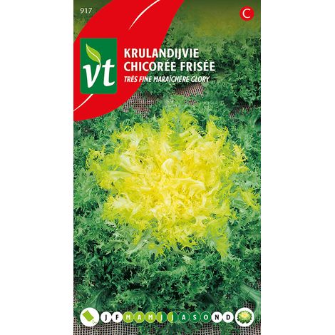 Chicorée Tres Fine Maraichere - Ca. 1,5 gr (Livraison Gratuite) (1/2)