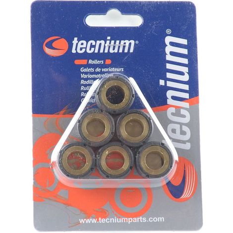 Variatorrollen 8,5 g 19 x 15 mm Tecnium Vicma für Maxi-Scooter (6 Stück)