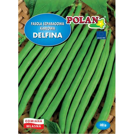 Semi di fagiolini comuni (Platinet Seeds) 30 g
