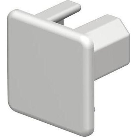 OBO Bettermann Vertr Endstück 20x20mm WDK HE20020RW (1/3)