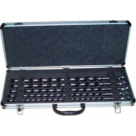 Leman – Coffret de 5 mèches plates pour bois – Diamètres 6/8/10/12/14 mm – Pointe de centrage et coupes dégageuses – Queue 6 pans (1/5)