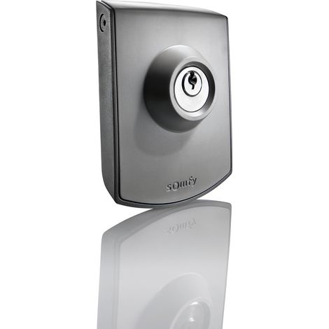 SOMFY 2400597 - Commande à clé filaire - Contact à clef pour moteur de portail ou garage