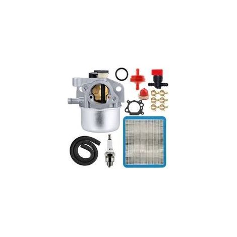 FENOPLASTICACarburateur de remplacement 799871 compatible avec les modèles Briggs & Stratton 799866, 790845, 796707, 794304 et 12H800. (1/4)