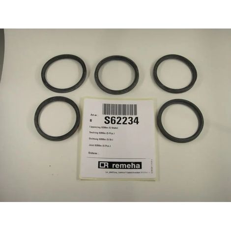 Remeha Junta 60mm (5x), S62234