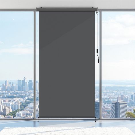 Randaco Senkrechtmarkise für Außen- und Innenbereich Außenrollo wasserfest mit Handkurbel für Balkon, Terrasse & Garten Balkonrollo Sonnenschutz aus Aluminium Rollo Sichtschut 250x160cm Anthrazit (1/5)