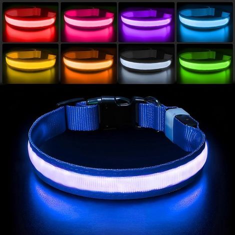 Collar LED recargable para perros, Cambia de color, Resistente al agua, Luminoso para paseos nocturnos, medianos y grandes (1/4)