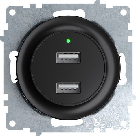 Prise OneKeyElectro USB 2 sorties 5V, 2.1A LED, noir (1/3)