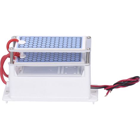 20 g/h 110-W-Ozon-Generator für industrielle Luftreinigung – Bürstenentladungsgerät – Desinfektion, 110 V Wechselstrom