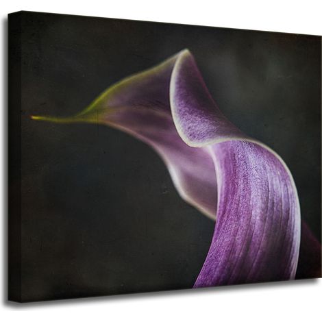 Leinwanddruck „Lila Blütenblatt“, 50 x 40 cm