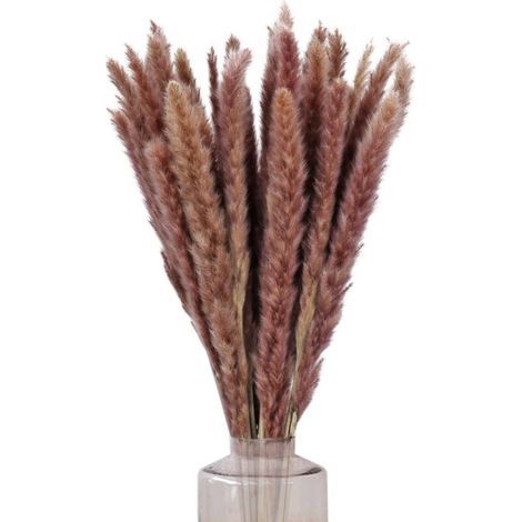 30 Stück getrocknetes Pampasgras, 60 cm Strauß, natürliche Dekoration, braunes Schilfrohr, künstliche Pampaspflanze, für Hochzeiten, Vase, Innenräume, Küche, Balkon (1/5)