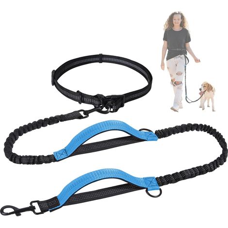 Laisse de Jogging pour Chien de Taille Moyenne et Grande, Élastique et Réfléchissante, Laisse Rétractable avec Double Poignée et Ceinture de Taille (1/5)