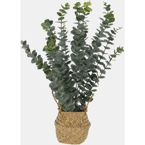 Pianta artificiale di eucalipto 50 cm con elegante cesta in rattan