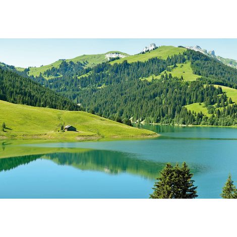 Papier peint panoramique nature vert forêt style campagne | Tapisserie panoramique montagne lac de Lauenensee | Papier peint panoramique salon et bar - 384 X 260 cm (8 pièces) (1/2)