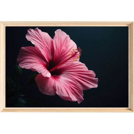 Tableau mural encadré fleur hibiscus rose 40x60 cm - Tableau Mural Décoratif - Image Encadrée Imprimée en HD - Impression 40x60 cm sur Fibres de Bois FSC - Finition Mate - Fabriqué en France (1/5)