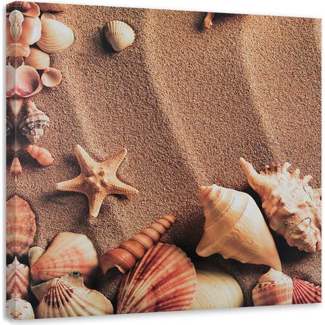 Tableau sur toile Coquillages Plage Mer Lac 60x60 (1/5)