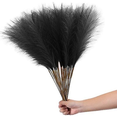 Lot de 20 tiges artificielles en roseau, sans arrosage, à la texture transparente, imitant l'herbe de la pampa, pour la décoration intérieure.noir (1/5)
