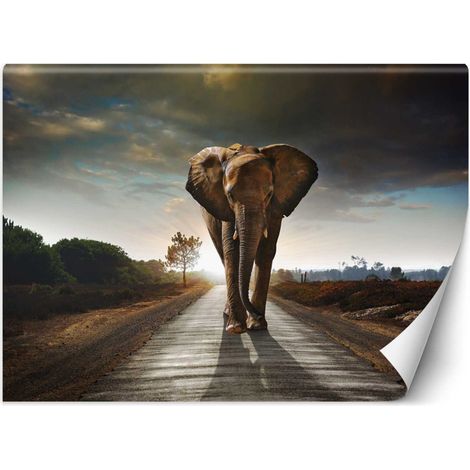 Papier peint éléphant errant - 200 x 140 cm (1/4)