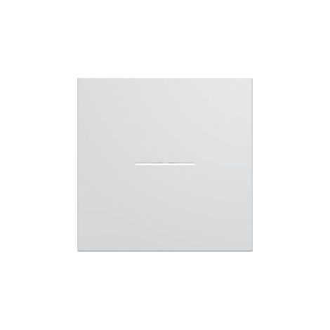 Enjoliveur interrupteur à voyant gallery 2 modules pure (WXD001B) (1/8)