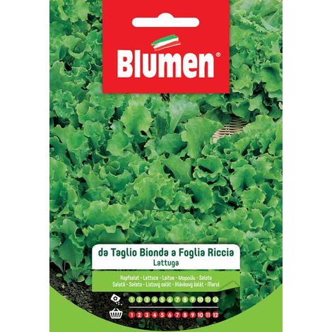 Blumen. Semi di Lattuga da Taglio Bionda a Foglia Liscia