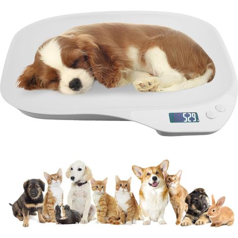 balance et numérique pour animaux de compagnie : 15 kg (± 1 g) - Balance LCD avec 4 modes (kg/oz/lb/ml), idéale pour petits chats et chiens (36 x 26 cm) (1/5)