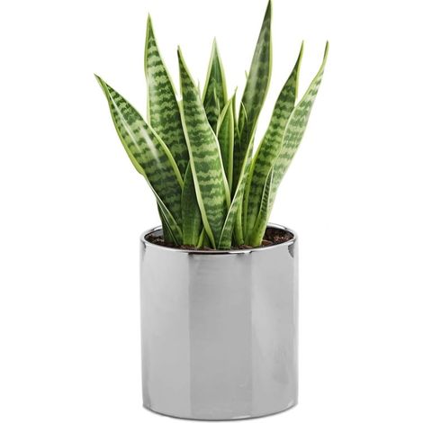 Coperchio in ceramica, argento, cilindro, 23 cm (1/3)