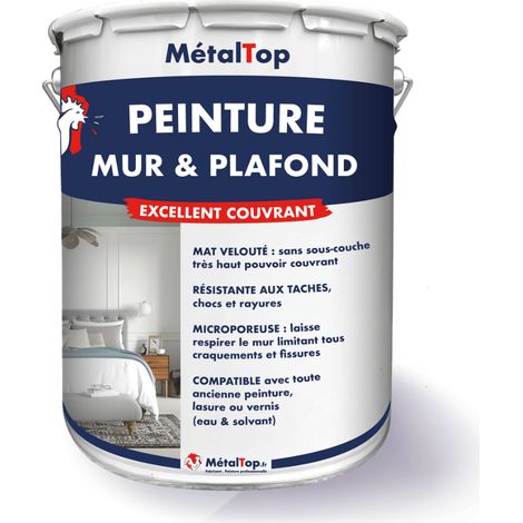 Peinture Mur Et Plafond - Brun cuivré - RAL 8004  - 5 L - Métaltop (1/5)