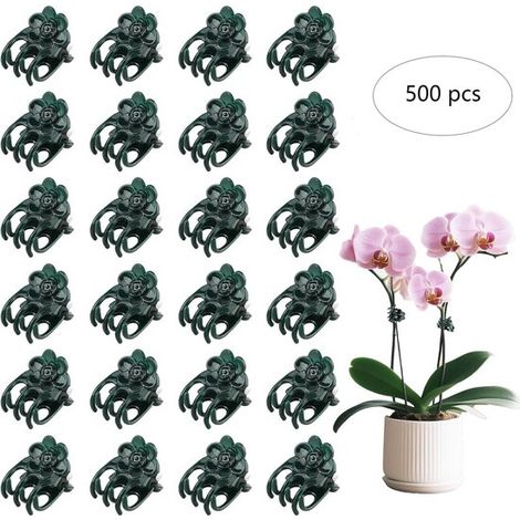 500 clip di supporto a forma di rosa per piante rampicanti, orchidee, ortaggi e fiori - Verde (1/5)