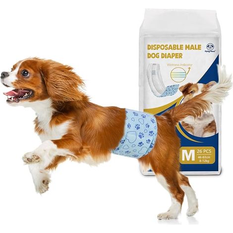Dog Diapers Male M, Moisture Indicator Hygenic Panties Absorbent, Belly Bands Moisture Indicator for Male Dogs, Puppy Training Diapers, Urinary Incontinence (1/5)