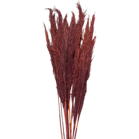 Bouquet de Fleurs Séchées Rouges 100 cm en Bambou pour Décoration Bohème Vintage - PANGIVO (1/5)
