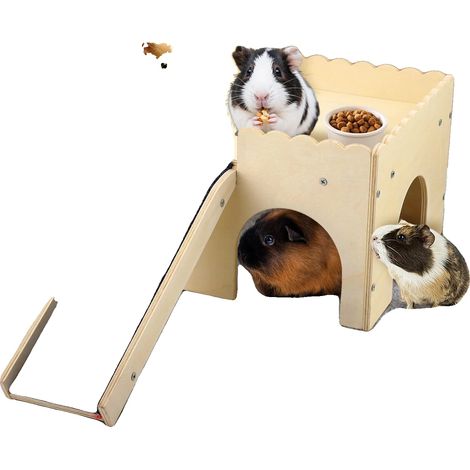 Maison en bois, 40 x 30 x 25 cm, matériau non toxique, escalier intégré, couvercle amovible, adapté aux petits animaux de compagnie (1/5)