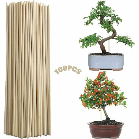 Canne De Bambou 100 Pieces Jardin De Canne Piquet De Jardin Baton De Bambou Support De Plante De Bâtons Support Végétal De Bricolage Bâtons(3mm20CM) (1/5)