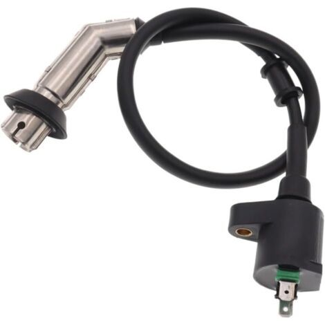 Shielded ignition coil compatible with GY6 quads/karts/light motorcycles from 50 to 150cc (1/5)