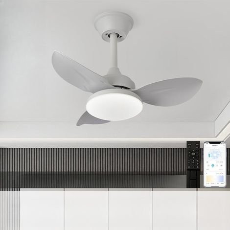 Plafonnier Ventilateur 65 cm avec Lumière et Télécommande, Ventilateur de Plafond Bois Blanc, Silencieux et Réversible pour Petit Salon et Patio Intérieur