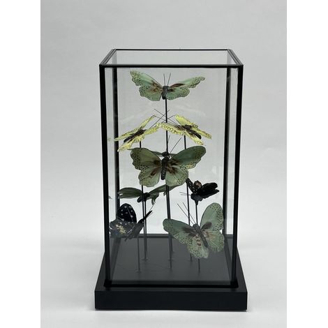 Cloche en verre avec papillons verts et dorés, socle en bois noir, décoration 20 x 20 x 32 cm - PANGIVO (1/5)