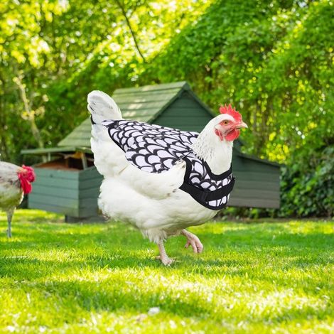 Selle pour poules JeiibrZui - 3 pièces - Protection dorsale ajustable pour poules et canards - Tissu Oxford imperméable imprimé - 24 x 31,5 cm - (1/5)