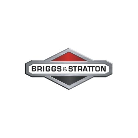 Comprobador de motores de 3 cilindros ORIGINAL BRIGGS & STRATTON 19400