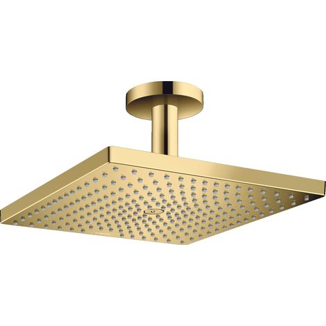 Hansgrohe Raindance E - Soffione doccia E 300, getto singolo, color oro lucido 26250990