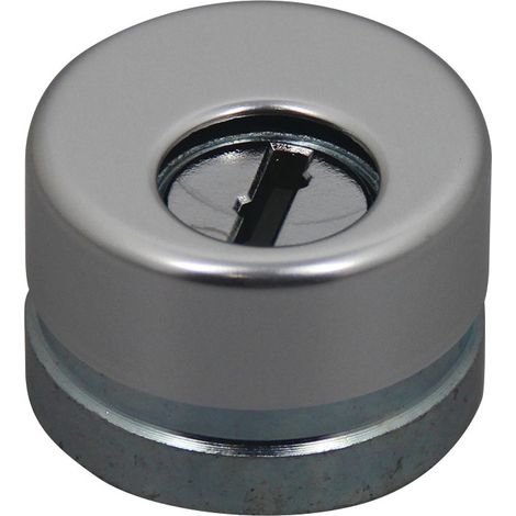 Protector cilindro cerradura dierre diecz9r plata robusto
