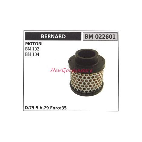 Filtro aria BERNARD motore tagliaerba rasaerba tosaerba BM 102 104 022601