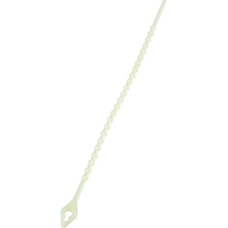 Serre-câble RS PRO 150mm x 2,9 mm Naturel en Nylon 66 ( Prix pour Sachet de 100 )