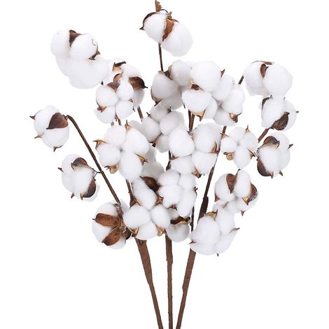Fl De Coton Artificielle Coton 1 Branche Decorative pour Vase Balcon Decoration Fl Sechees Naturel Coton Fls Artificielles Deco Fls Sechees Bouquet, 7 TêTes (1/5)