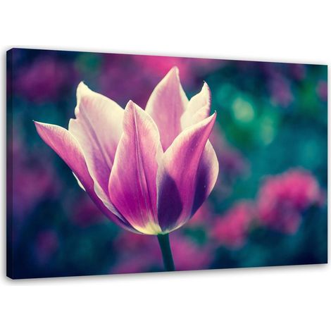 Tableau sur toile Tulipes fleurs nature lilas 60x40 (1/5)
