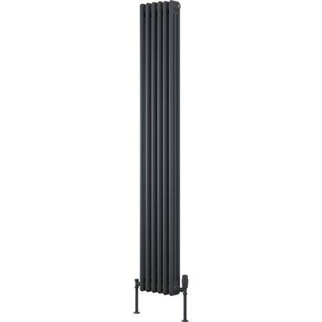 Reina Colona 2 Column Vertical Radiator 1800mm H x 290mm W - Anthracite (1/4)