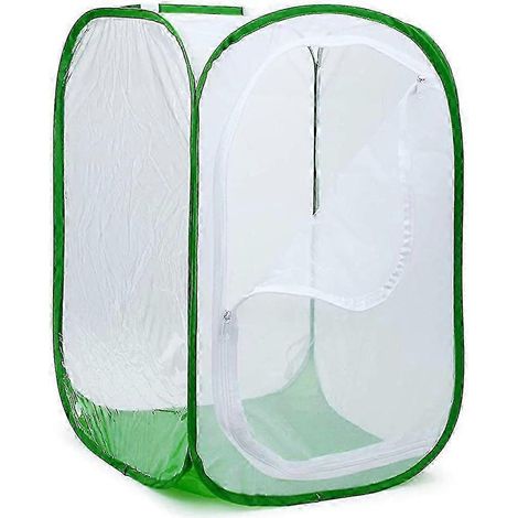 Terrarium pliable de grande taille pour papillons, filet à insectes et papillons pour l'élevage (1/3)