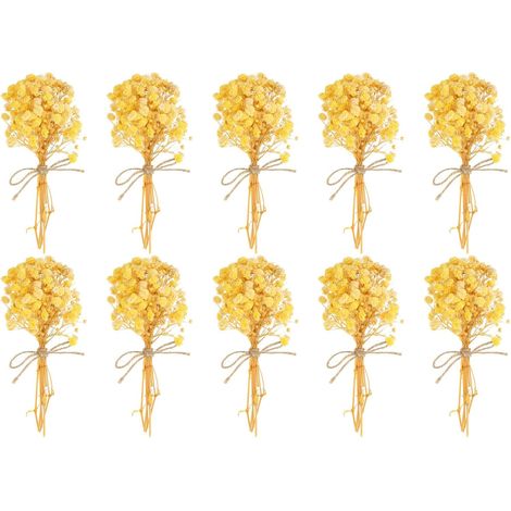 Mini Bouquet de Fleurs Séchées, 10 Pcs Gypsophile Naturelle avec Tige Décoration Boho Plante Florale pour l'Artisanat DIY Accessoires Photo Cadeau Décoration de Mariage, Jaune (1/5)