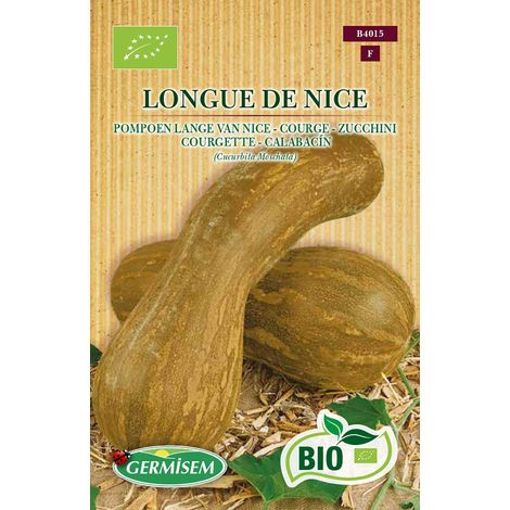 Graines Courge LONGUE DE NICE