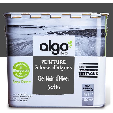 Peinture écologique Algo - Satin - Ciel noir d'hiver - 5L (1/5)
