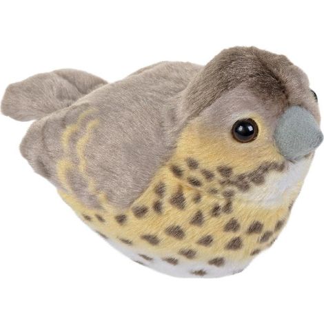 Mascotte del tordo canoro con suono